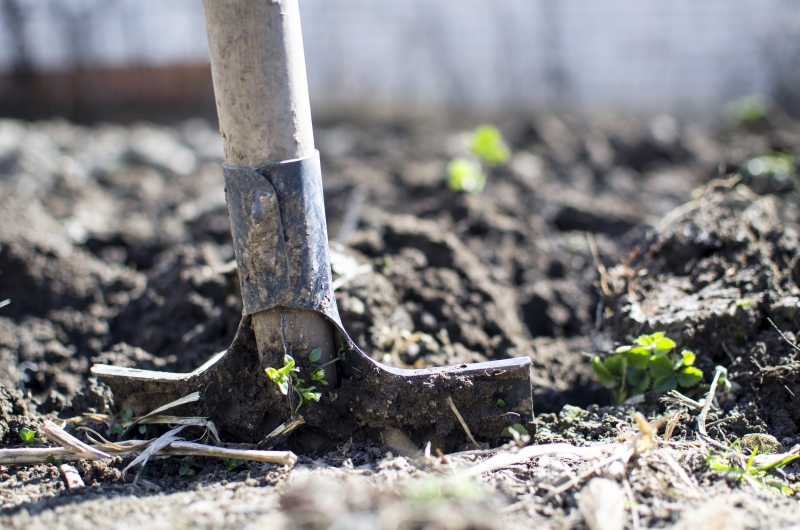 jardinerie-ST CEZAIRE SUR SIAGNE-min_equipment-2047314